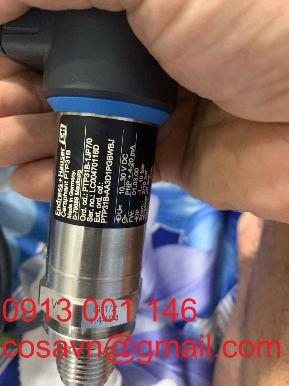 Endress+Hauser Ceraphant PTP31B PTP31B